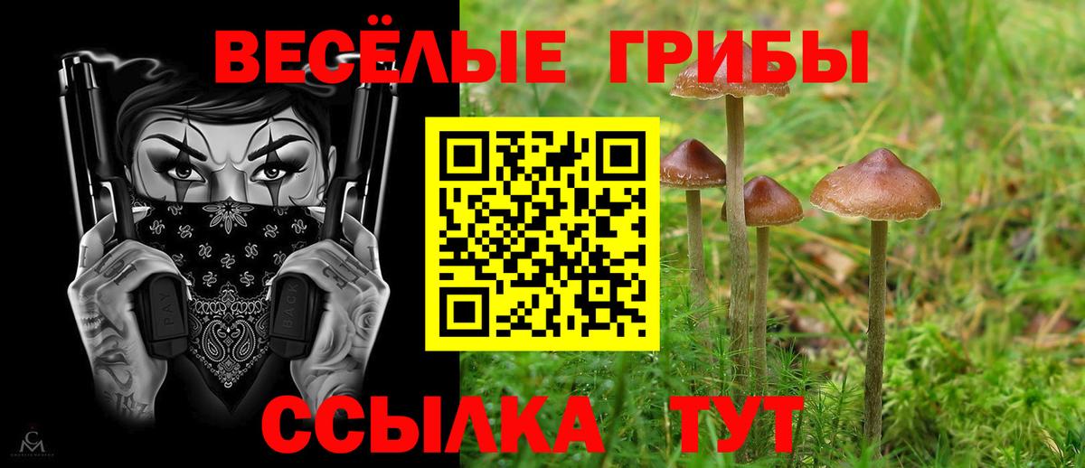 Псилоцибиновые грибы Psilocybine cubensis  Вход с VPN  Тайшет 