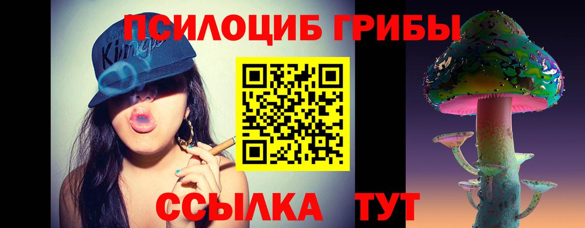 Галлюциногенные грибы прущие грибы Тайшет